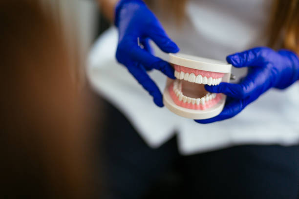 Best Periodontal (Gum) Disease Treatment  in Schnecksville, PA